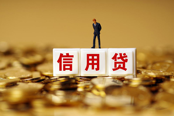 成都蒲江私借短借